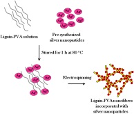 Int. J. Biol. Macromol.：负载银纳米粒子的聚乙烯醇-木质素电纺纳米纤维的合成与表征及其抗菌活性