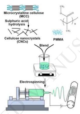 Carbohydr. Polym.：电纺丝纤维素纳米晶体/聚（甲基丙烯酸甲酯）复合纳米纤维