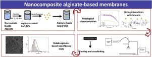 Carbohydr. Polym.：纳米氧化锌负载海藻酸盐电纺丝复合膜的制备