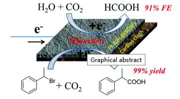 CHEM COMMUN：Pt-NP@NCNF掺杂碳布 ：用于电化学还原和CO2羧化的双功能催化剂