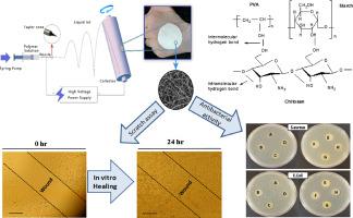 Int. J. Biol. Macromol.：电纺PVA /壳聚糖/淀粉纳米纤维垫用作伤口敷料