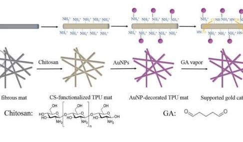 J APPL POLYM SCI：静电纺丝制备壳聚糖交联Ag/TPU复合催化材料