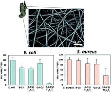 RSC Adv.：电纺Ti3C2Tz（MXene）/壳聚糖纳米纤维的抗菌性能