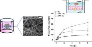 Carbohydr. Polym.：利用电纺黄原胶-壳聚糖纳米纤维增强姜黄素在Caco-2细胞单层上的渗透性