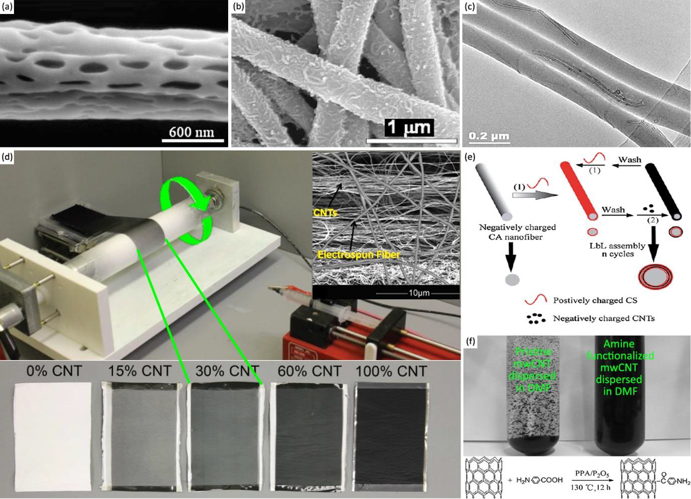 Progress in Polymer Science：静电纺丝聚合物基复合材料的制备和纳米碳功能化