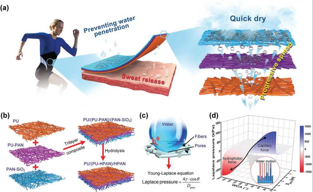 东华大学王先锋教授：电纺三层纤维膜构建功能性吸湿排汗纺织品