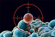 静电纺丝技术制备多级结构聚合物纤维以及在生物医学领域的应用
