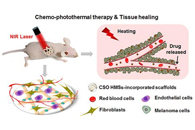 易丝帮盘点：ACS Nano电纺前沿科研成果精选