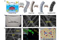 Nature Communications：基于海绵状多孔碳纳米纤维的多功能柔性高导电膜