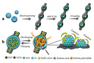 氮掺杂碳纤维连接镍空心球增强钠硫电池的电化学动力学