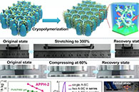 东华大学刘天西团队《自然·通讯》：冷冻聚合策略构筑耐复杂形变导电聚合物复合水凝胶