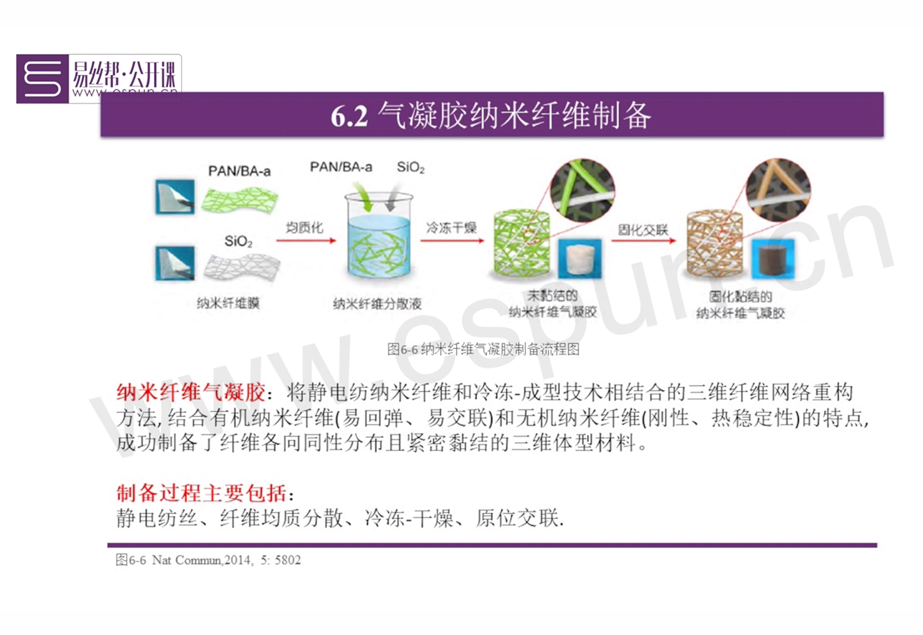 08.电纺丝产品形貌调控（下）