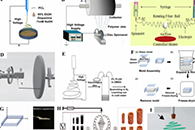 美国南达科他州矿业与技术学院冯浩教授在《Progress in Materials Science》发表长篇电纺丝综述
