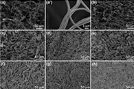 ACS Appl. Mater. Interfaces：具有高机械和热学性能的高密度纤维状聚酰亚胺海绵