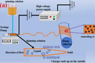 中南大学杨占红教授 Electrochim. Acta：电纺核-壳型Mn3O4/碳纤维作为水性锌离子电池的高性能正极材料