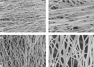 Electrochemistry Communications：电纺导电金包覆聚己内酯纤维作为细胞培养基中O2监测的电化学传感器