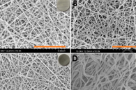 Colloids Surf. B Biointerfaces：电纺聚乙烯醇/还原氧化石墨烯纳米纤维支架在皮肤组织工程中的应用