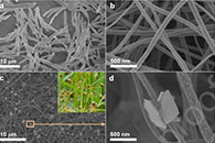 长沙大学许第发J. Mater. Sci. Technol.：具有提高的光催化性能的S型光催化剂Bi2O3/TiO2纳米纤维