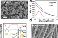 Colloids Surf. B Biointerfaces：植入性纤维“补片”可用于临床前肿瘤化学-光热治疗