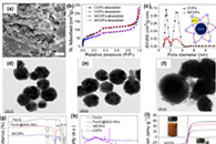 ACS Appl. Mater.Interfaces：基于异孔共价有机骨架的磁性纳米球和电纺膜可轻松去除植物色素并有效回收农药