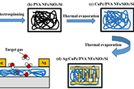 Langmuir：基于聚合物纳米纤维支架的酞菁铜传感器传感特性的改进