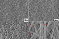 Appl. Surf. Sci.：Fe3O4@Cs@Ag纳米复合材料的合成、表征及其在磁性抗菌纳米纤维膜生产中的应用