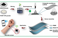 ACS Appl. Mater. Interfaces：基于MXene复合纳米纤维支架的可穿戴电容压力传感器用于人体生理信号采集