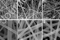 J. Chromatogr.：静电纺丝制备共价有机骨架复合纳米纤维，用于吸管尖端固相萃取草鱼和鸭中的四环素类抗生素