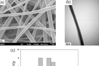 Fibers Polym.：含精油的电纺纳米纤维膜用于伤口敷料