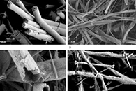 ACS Appl. Mater. Interfaces：电纺Fe-Al-O纳米带，用于选择性CO2加氢制低碳烯烃