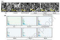 Colloids Surf. B Biointerfaces：含维甲酸负载壳聚糖纳米颗粒的聚己内酯/聚乙烯吡咯烷酮同轴电纺纤维用于骨再生