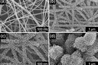 苏州大学路建美&陈冬赟J. Hazard. Mater.：ZnIn2S4纳米片负载电纺In2O3纳米纤维的分层核-壳异质结构及其高度增强的光催化活性