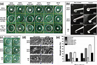 Int. J. Biol. Macromol.：大豆分离蛋白/丝素蛋白纳米纤维的制备和表征及其皮肤组织再生应用