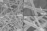 Environ. Sci. Technol.：聚合物纳米纤维-碳纳米管复合垫作为极性有机污染物的快速平衡无源采样器