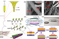 Chem. Eng. J.：含定向ZnO纳米线的柔性PVDF/尼龙11电纺纤维膜用于摩擦电纳米发电机