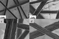 J. Colloid Interface Sci.：乳液液滴和纳米颗粒在纳米纤维中的封装作为其运输和储存的可持续方法