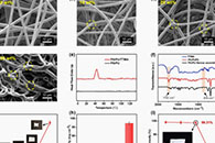 东华大学丁彬&斯阳ACS Appl. Mater. Interfaces：由“硬-软”双组分电纺纤维制备的可拉伸超弹性纤维海绵可用于保暖
