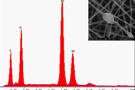 Electrochim. Acta：蒙脱土功能化对基于复合蒙脱土/PAN纳米纤维的葡萄糖生物传感器性能的影响