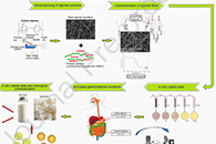 Carbohydr. Polym.：一种监测在模拟胃肠道条件和开菲尔中用电纺海藻酸钠纳米纤维封装益生菌的替代方法