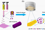香港中文大学张立教授等Nano Energy：一种将金属有机骨架嵌入纳米纤维转化为高性能锂离子电容器的通用阴离子交换策略