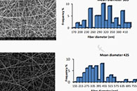 Int. J. Biol. Macromol.：纤维素基粘合剂复合材料的制备及其作为活性包装材料用于延长奶酪的保质期