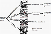 Colloid Interface Sci. Commun.：关于电纺纳米纤维/纳米网过滤污染空气中气态和固态成分（PM2.5）的简要综述