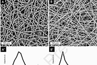 New Biotechnol.：新型环保生物吸附剂-生物降解的生物膜，用于含油污水的生物修复