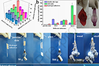 江南大学魏取福Chem. Eng. J.：贻贝启发制备的具有超强粘合力、药物持续释放和抗感染能力的三明治状纳米纤维/水凝胶复合材料