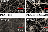 Polym. Degrad. Stabil.：用低聚乳酸增塑的可生物降解电纺PLA-PHB纤维