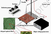 Sens Actuators B Chem.：在网球拍状光纤湿度传感器中使用掺杂的导电仿生肌肉纳米