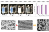 Plasma Chem. Plasma Proc.：一种钐掺杂的水蕴草状ZnO纳米线@PVDF纳米纤维膜，用于高效水清节