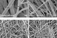 Water Air Soil Pollut.：电纺角蛋白-聚砜共混膜用于制革废水的处理