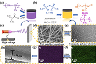 Nanoscale：3D聚丙烯腈纳米纤维和柔性聚二甲基硅氧烷大分子相结合的全固态复合电解质，用于高效锂金属电池