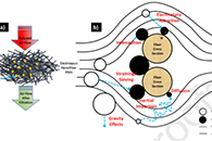 Compos. Part A Appl. Sci. Manuf.：静电纺纳米纤维的结构设计和环境应用